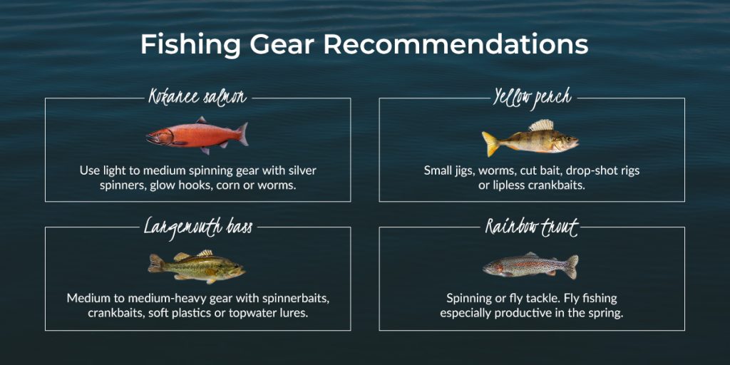 Fishing Gear Recommendations