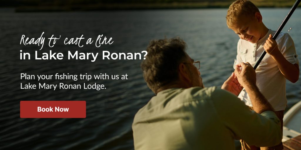 Plan Your Fishing Trip With Lake Mary Ronan Lodge
